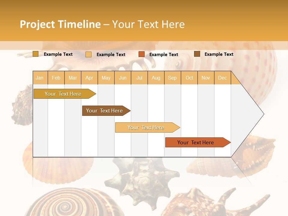 Beautiful Shells PowerPoint Template
