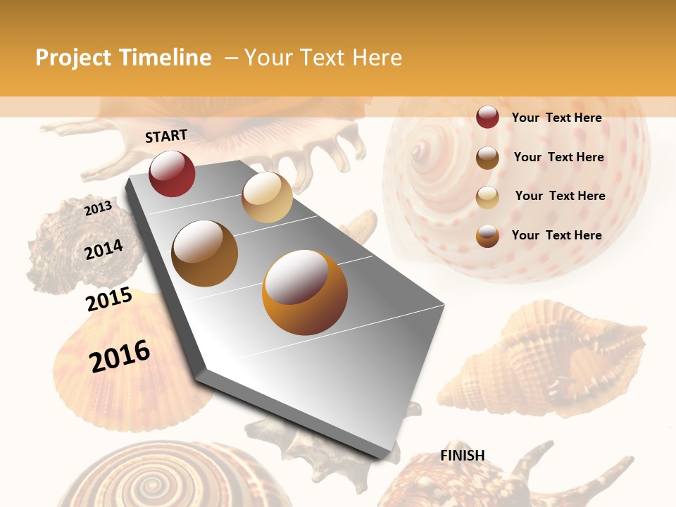 Beautiful Shells PowerPoint Template