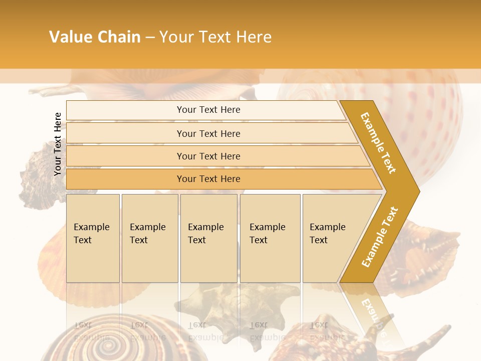 Beautiful Shells PowerPoint Template