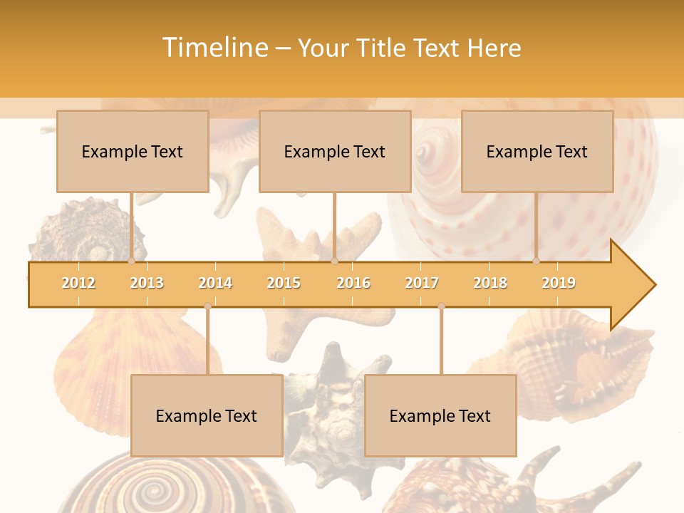 Beautiful Shells PowerPoint Template