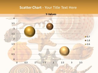 Beautiful Shells PowerPoint Template