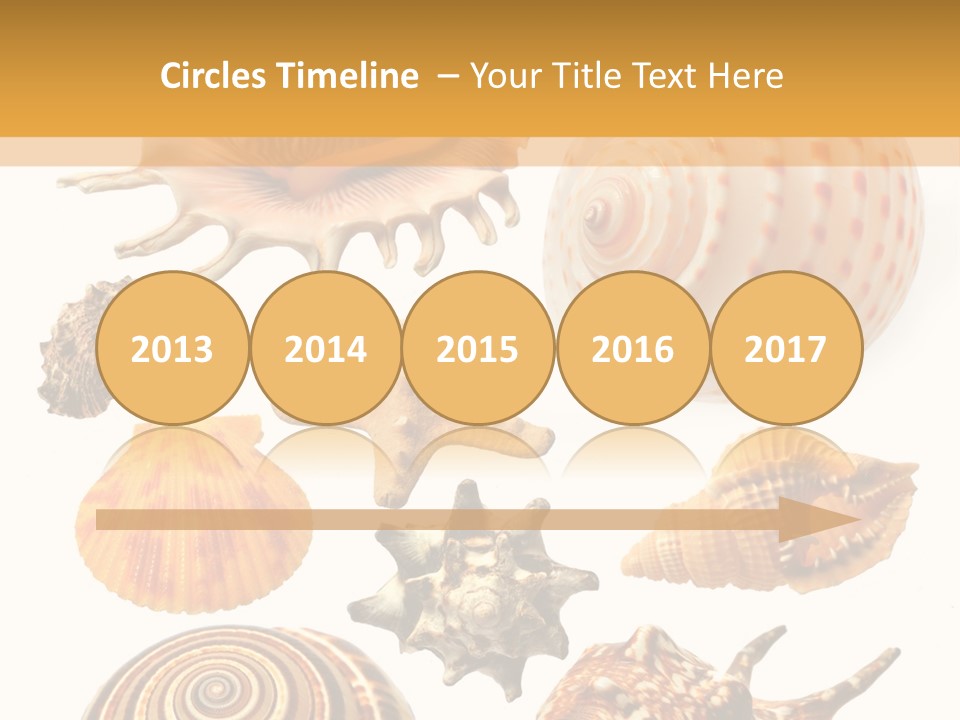 Beautiful Shells PowerPoint Template