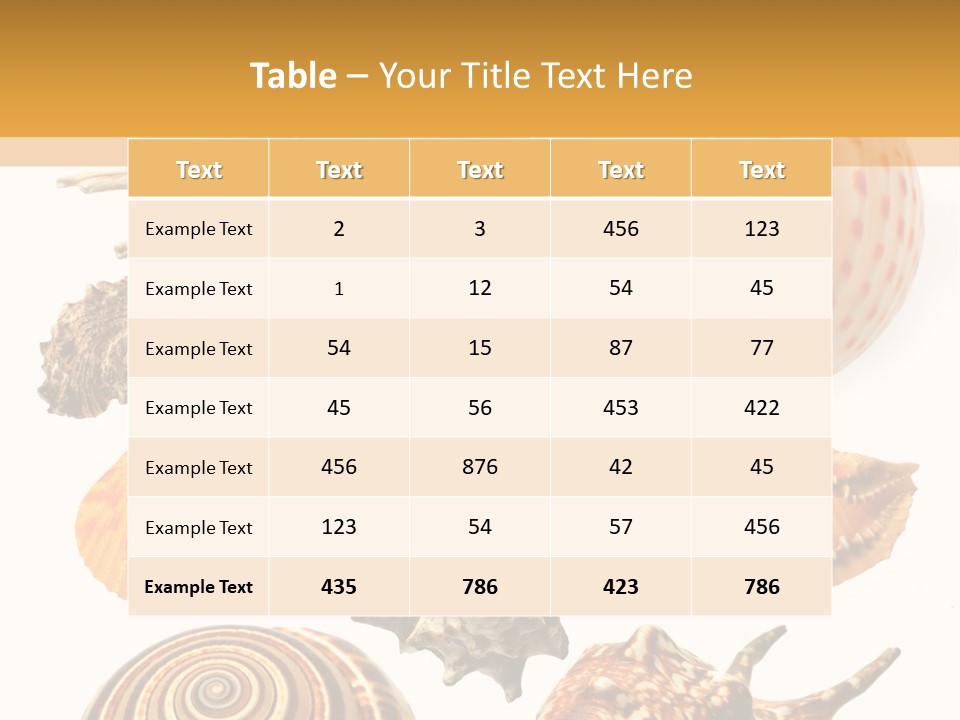 Beautiful Shells PowerPoint Template
