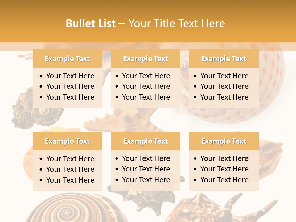 Beautiful Shells PowerPoint Template