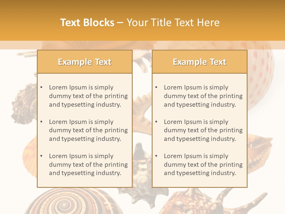 Beautiful Shells PowerPoint Template