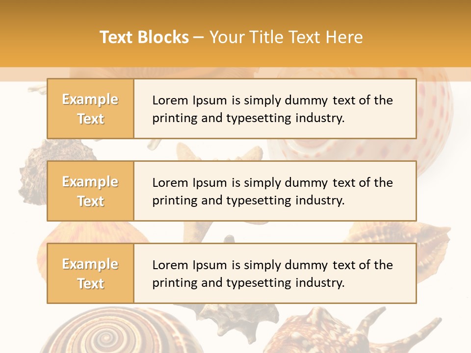 Beautiful Shells PowerPoint Template