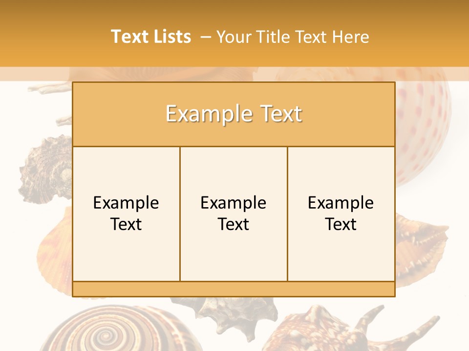Beautiful Shells PowerPoint Template