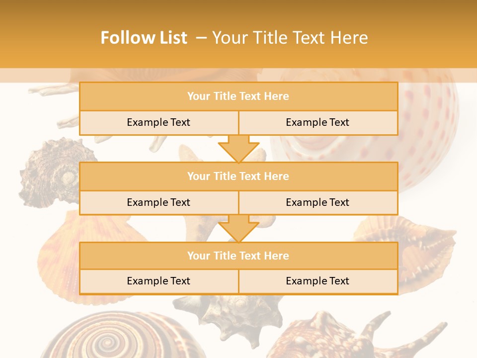 Beautiful Shells PowerPoint Template