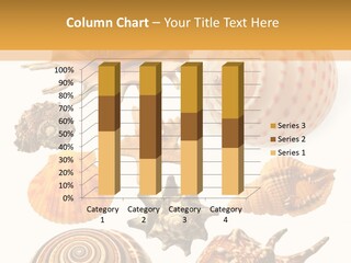 Beautiful Shells PowerPoint Template