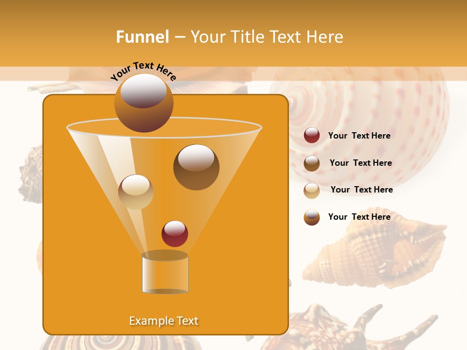 Beautiful Shells PowerPoint Template