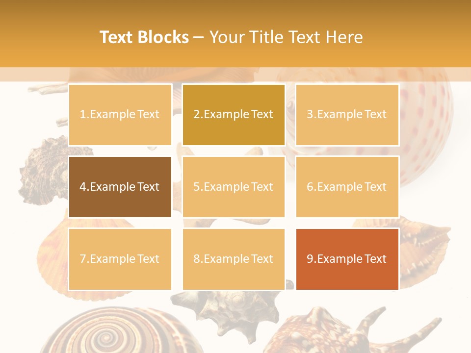 Beautiful Shells PowerPoint Template