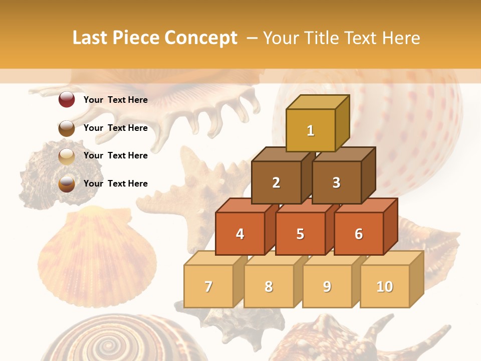 Beautiful Shells PowerPoint Template