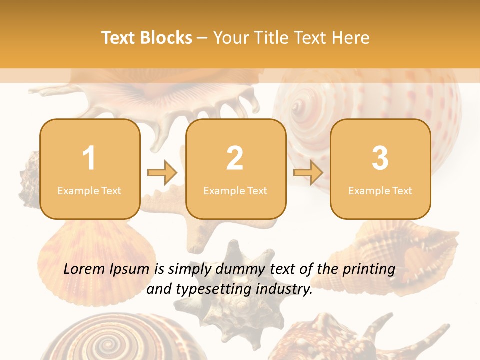 Beautiful Shells PowerPoint Template