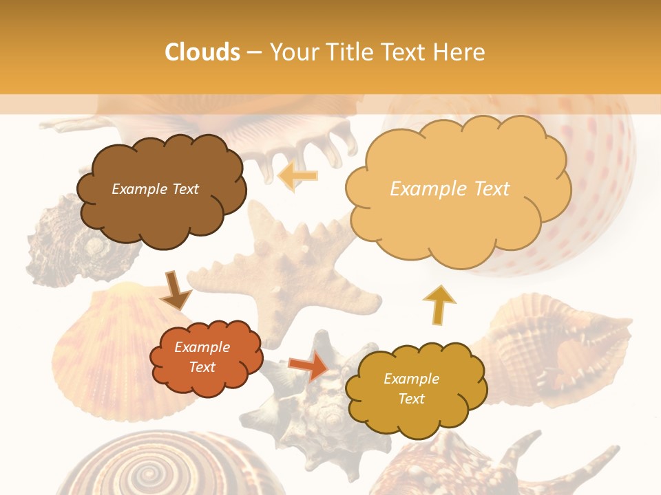 Beautiful Shells PowerPoint Template