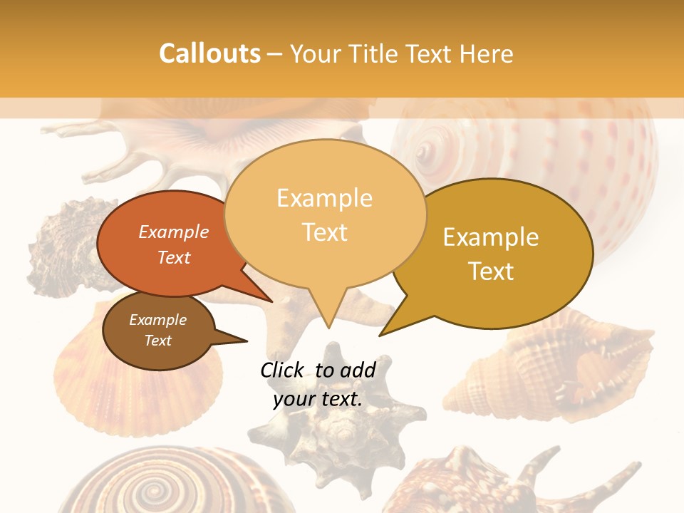 Beautiful Shells PowerPoint Template