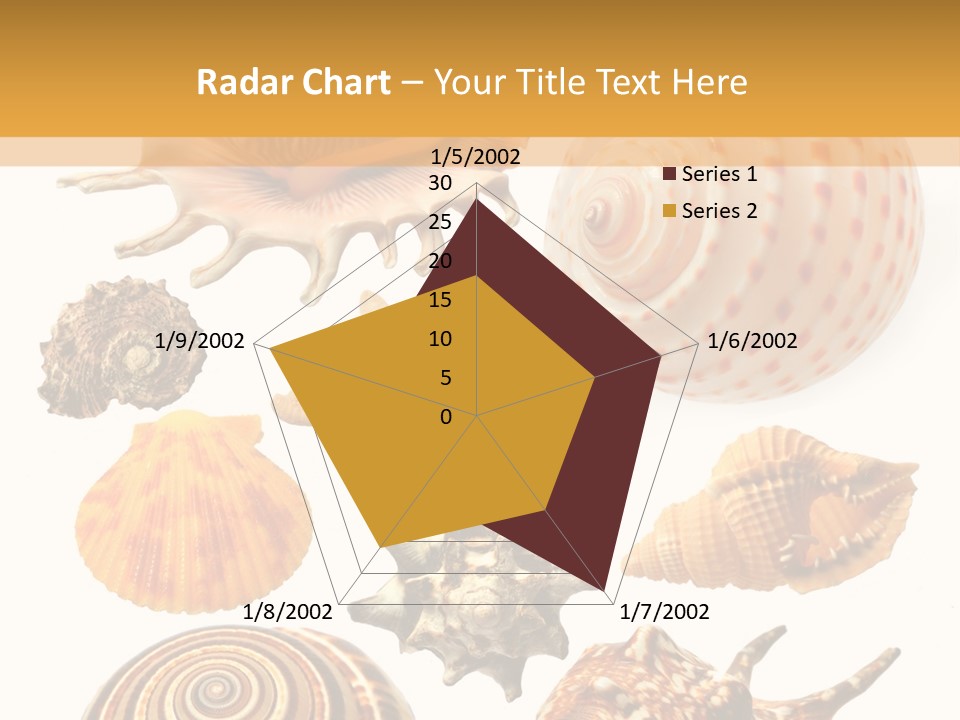 Beautiful Shells PowerPoint Template