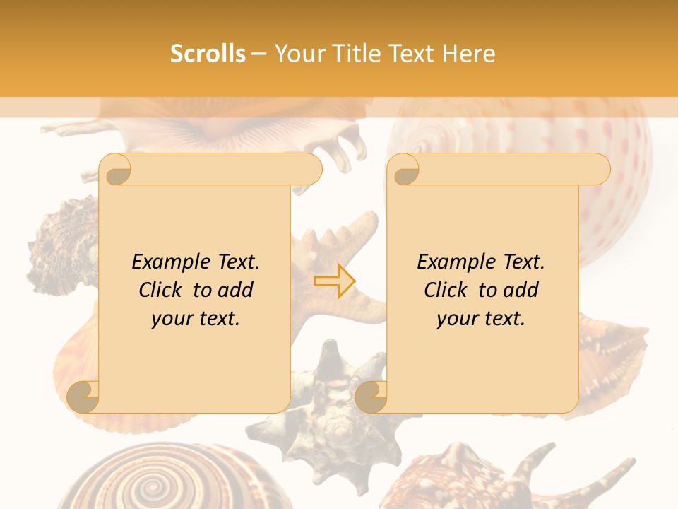Beautiful Shells PowerPoint Template