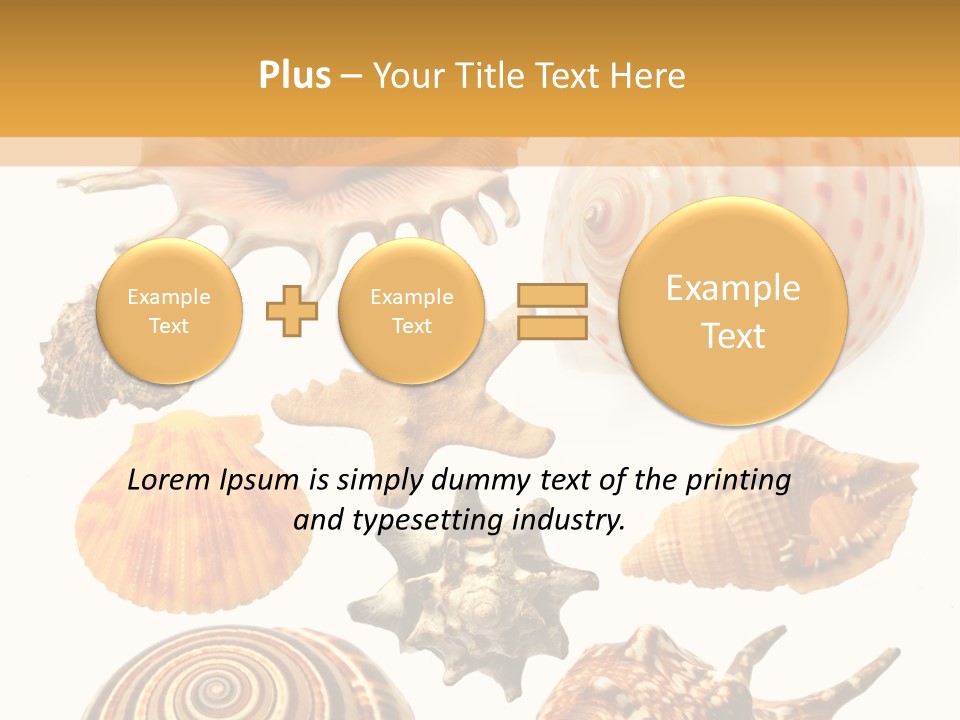 Beautiful Shells PowerPoint Template