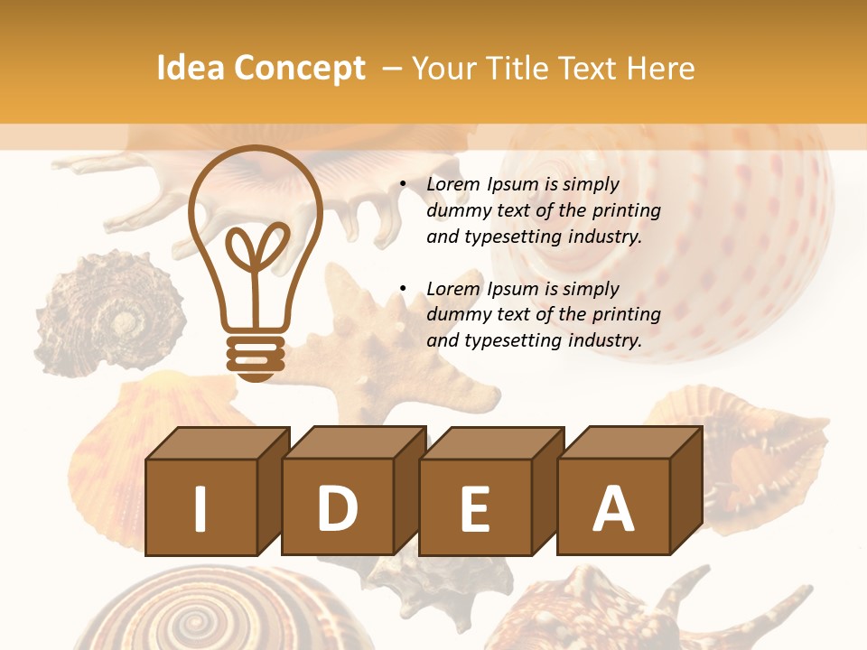 Beautiful Shells PowerPoint Template