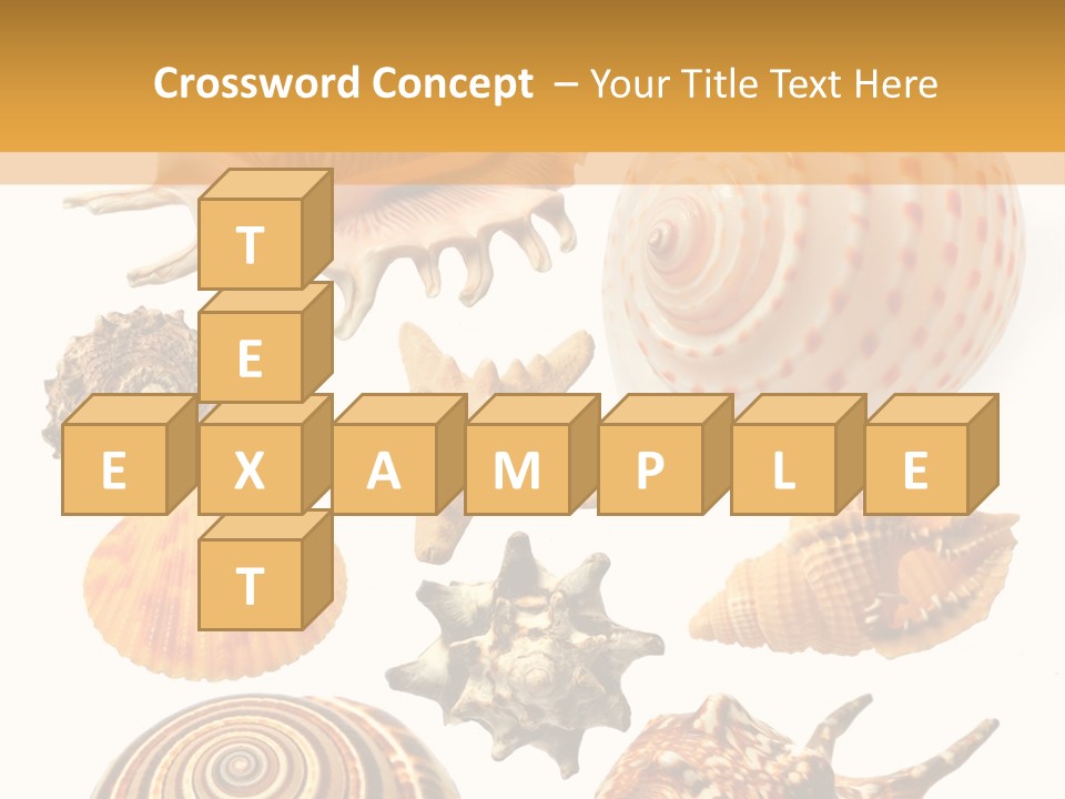 Beautiful Shells PowerPoint Template