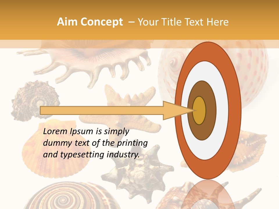 Beautiful Shells PowerPoint Template