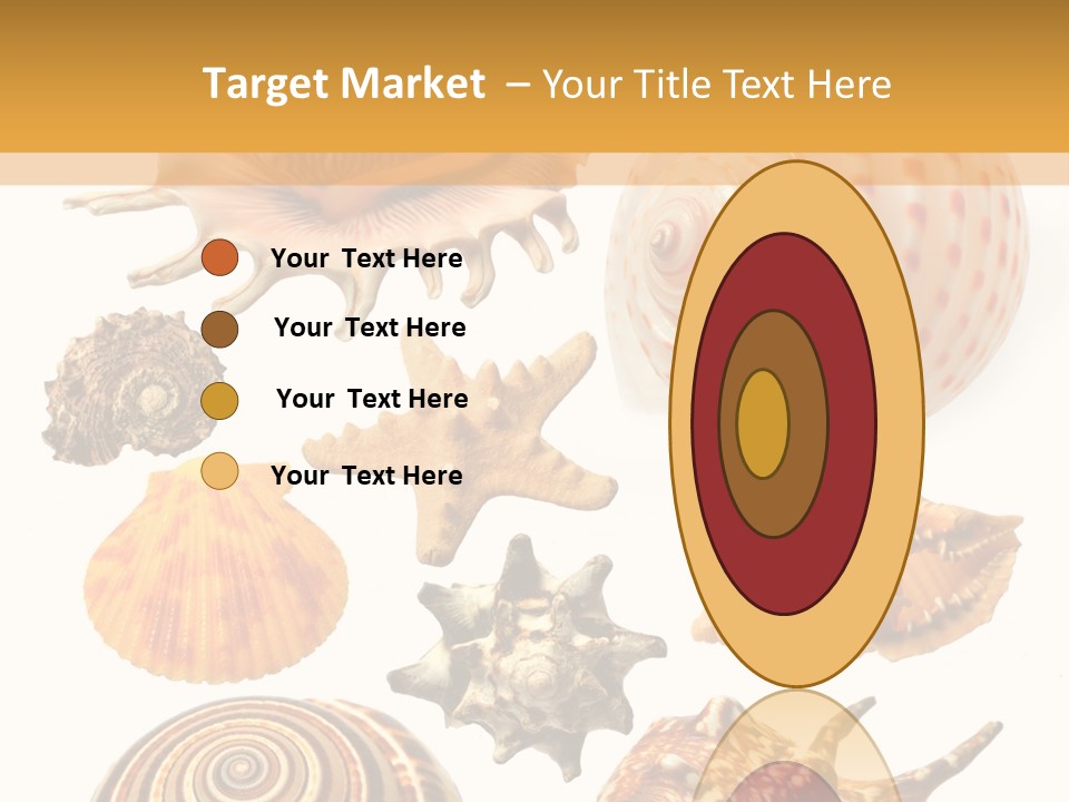Beautiful Shells PowerPoint Template