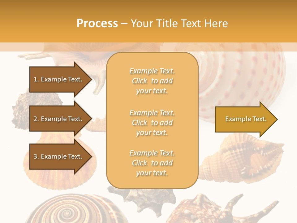 Beautiful Shells PowerPoint Template