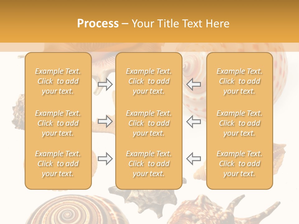 Beautiful Shells PowerPoint Template