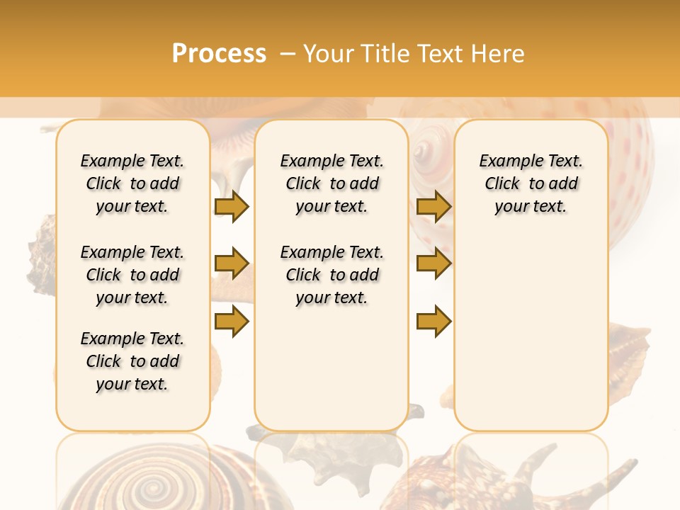 Beautiful Shells PowerPoint Template