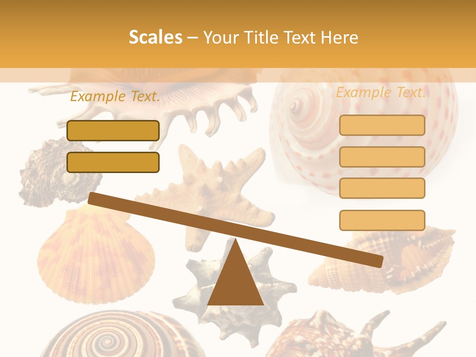 Beautiful Shells PowerPoint Template