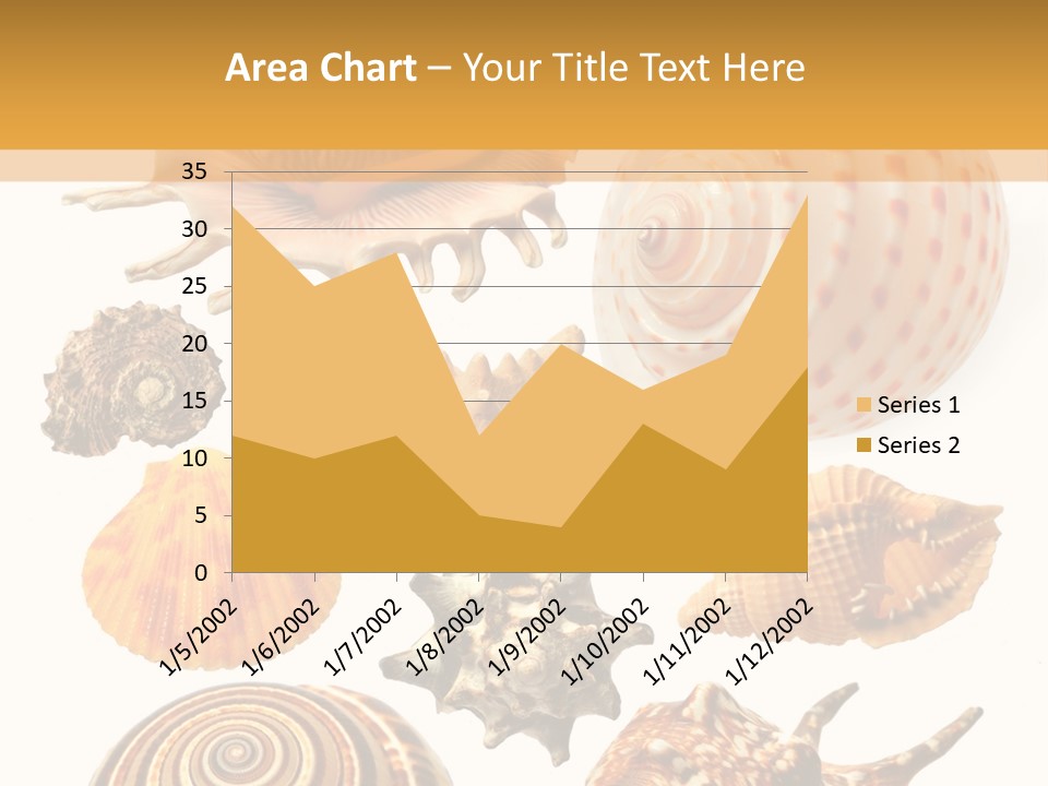 Beautiful Shells PowerPoint Template