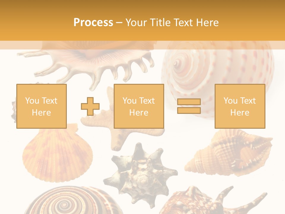 Beautiful Shells PowerPoint Template