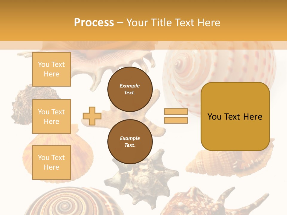 Beautiful Shells PowerPoint Template