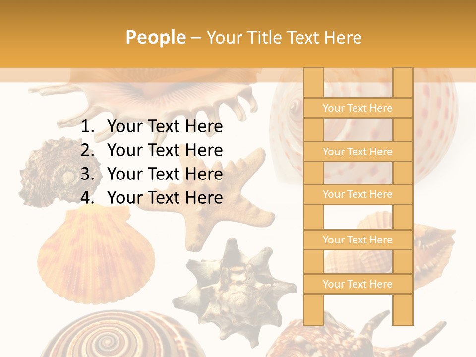Beautiful Shells PowerPoint Template