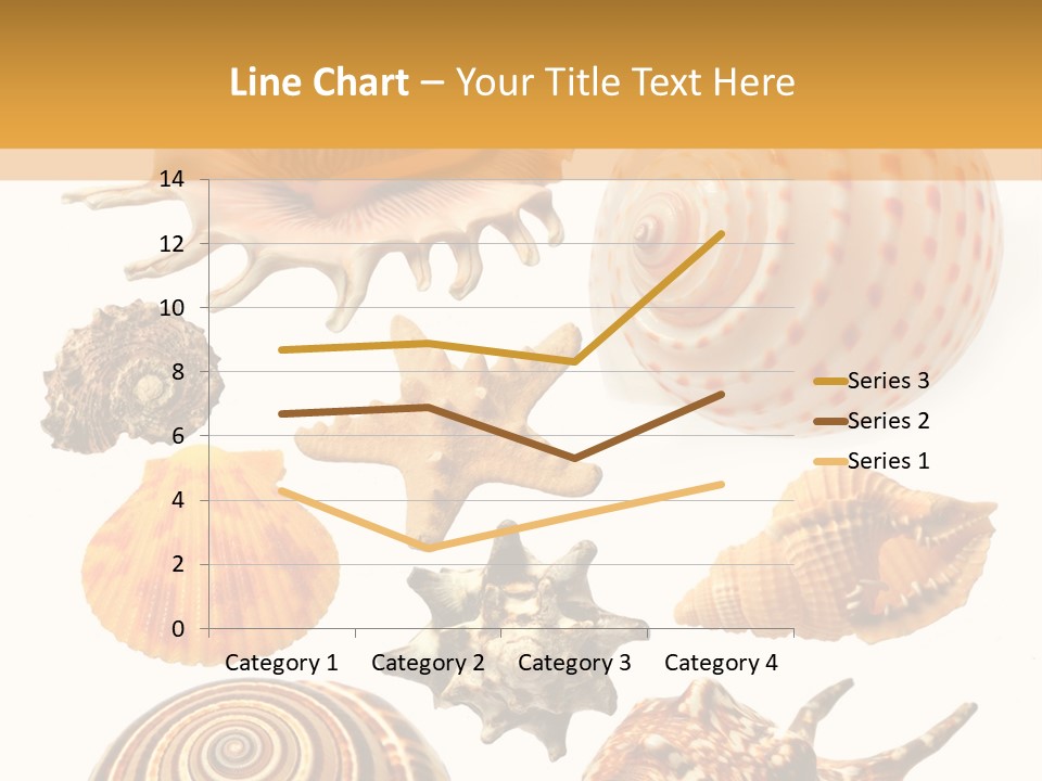 Beautiful Shells PowerPoint Template