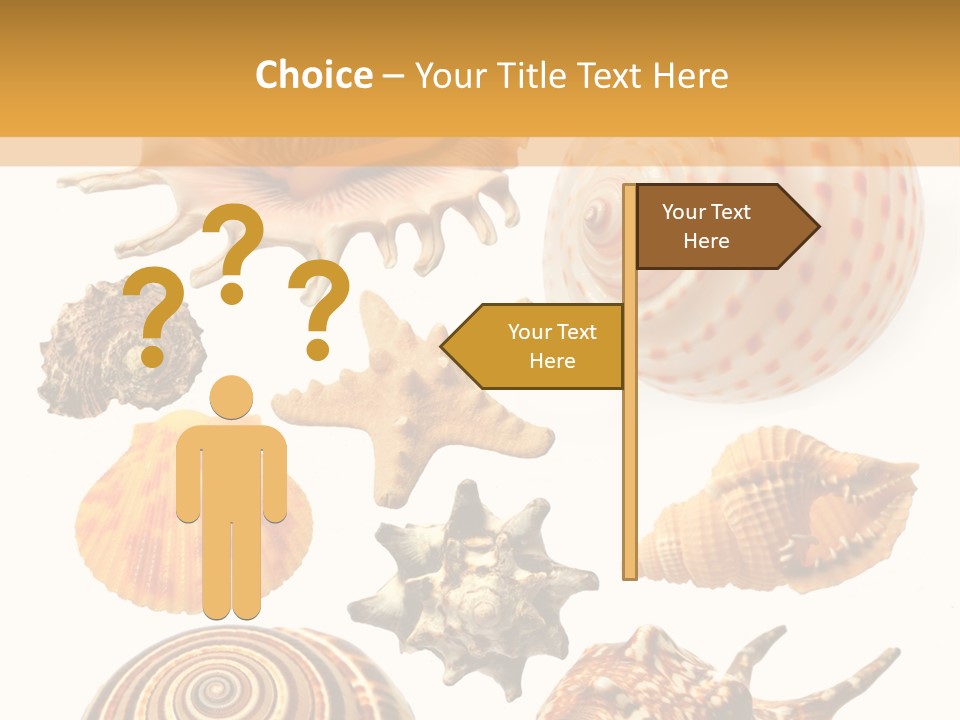 Beautiful Shells PowerPoint Template