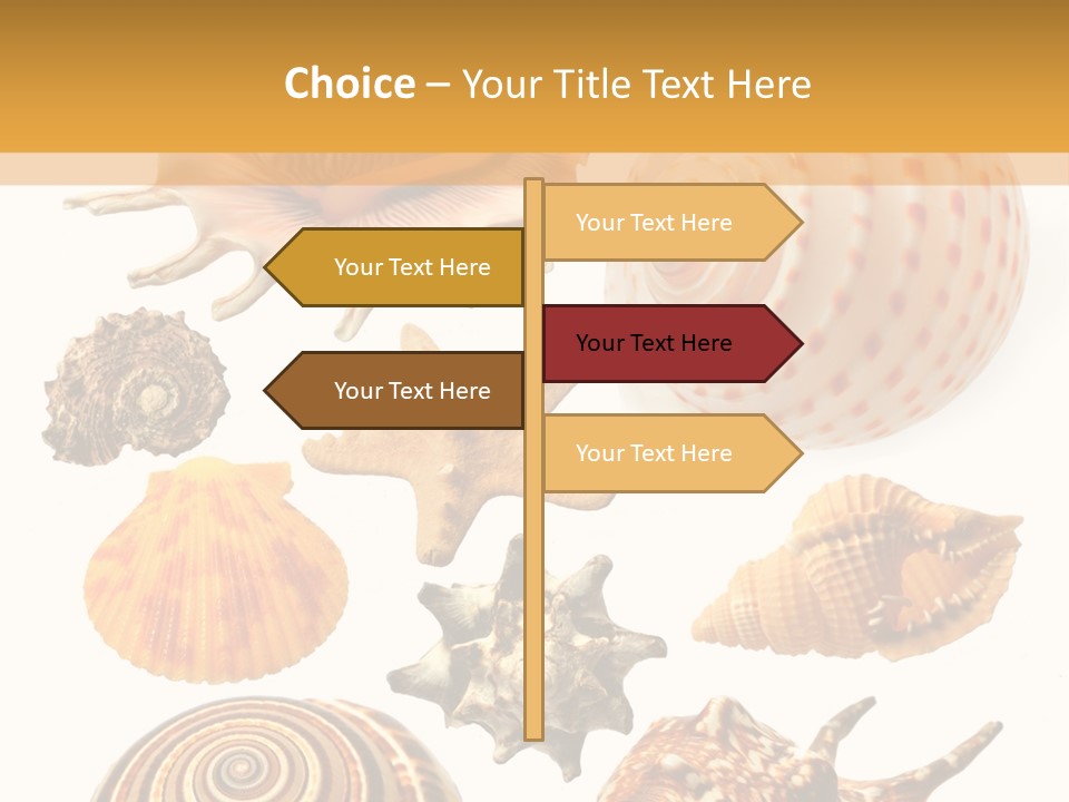 Beautiful Shells PowerPoint Template