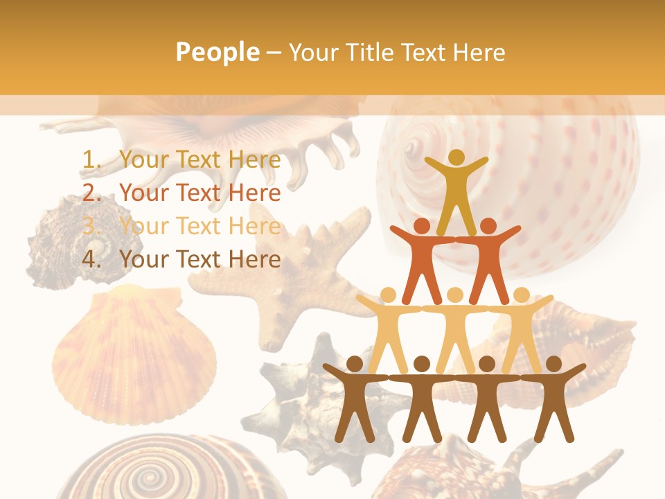 Beautiful Shells PowerPoint Template