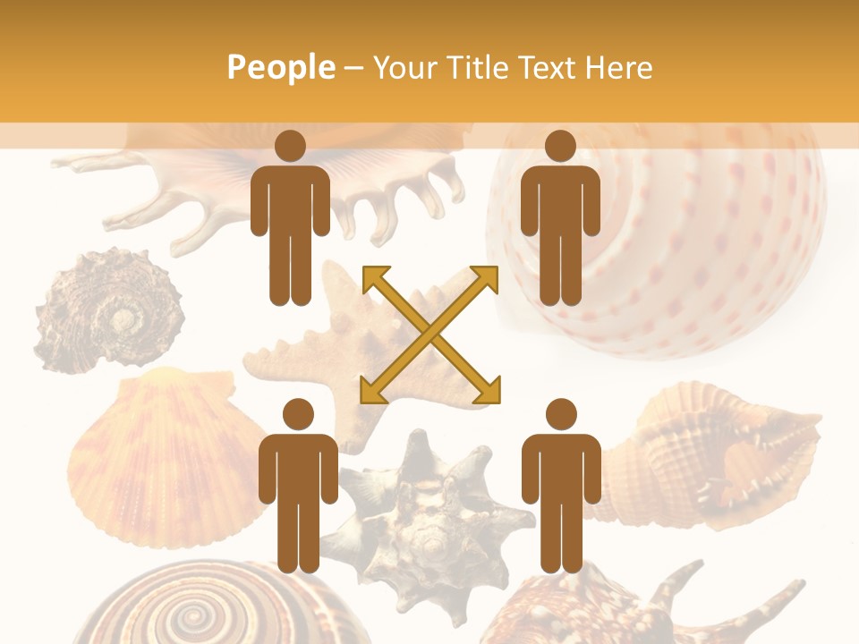 Beautiful Shells PowerPoint Template