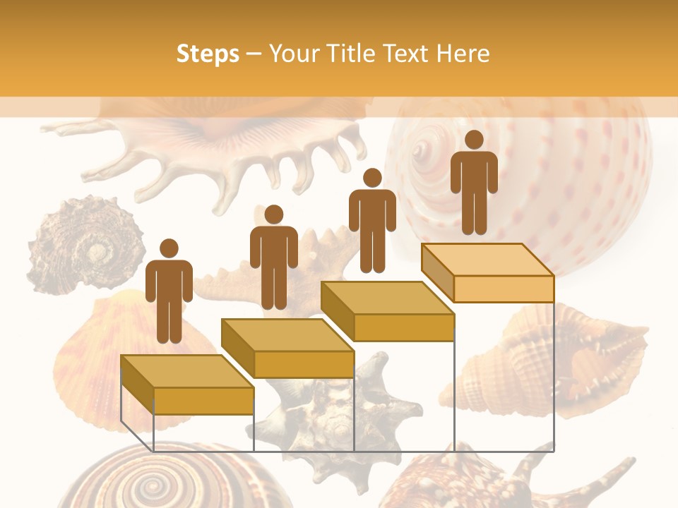 Beautiful Shells PowerPoint Template