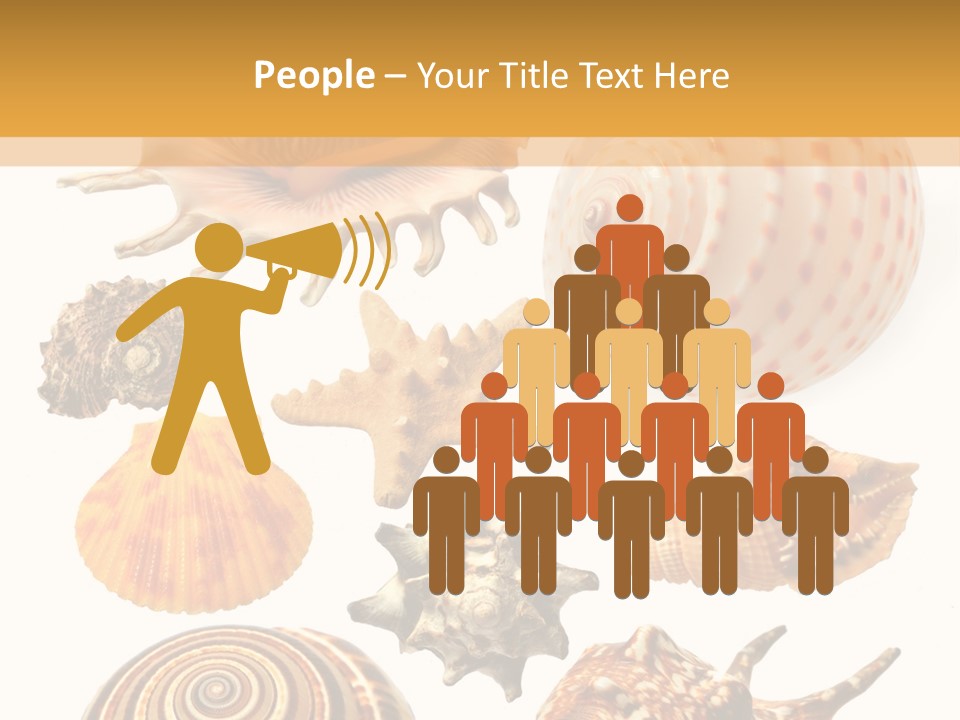 Beautiful Shells PowerPoint Template