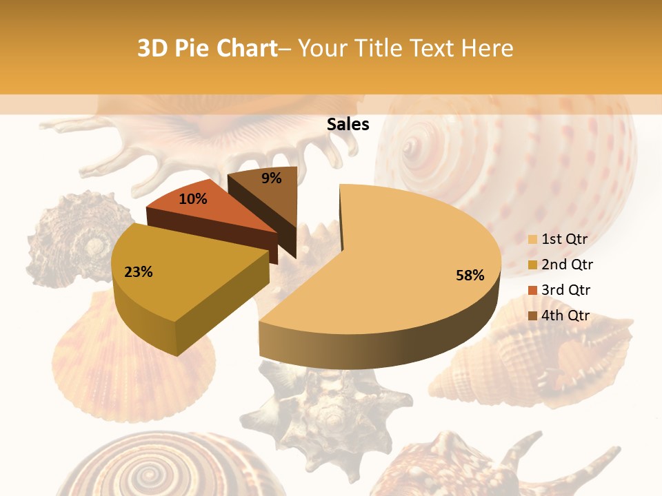 Beautiful Shells PowerPoint Template