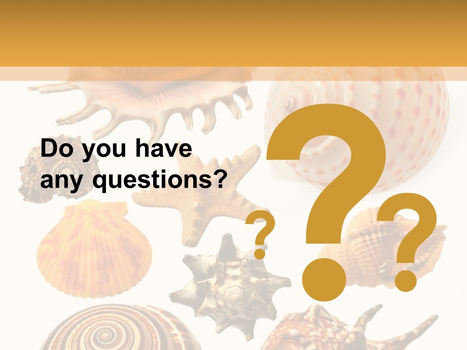 Beautiful Shells PowerPoint Template