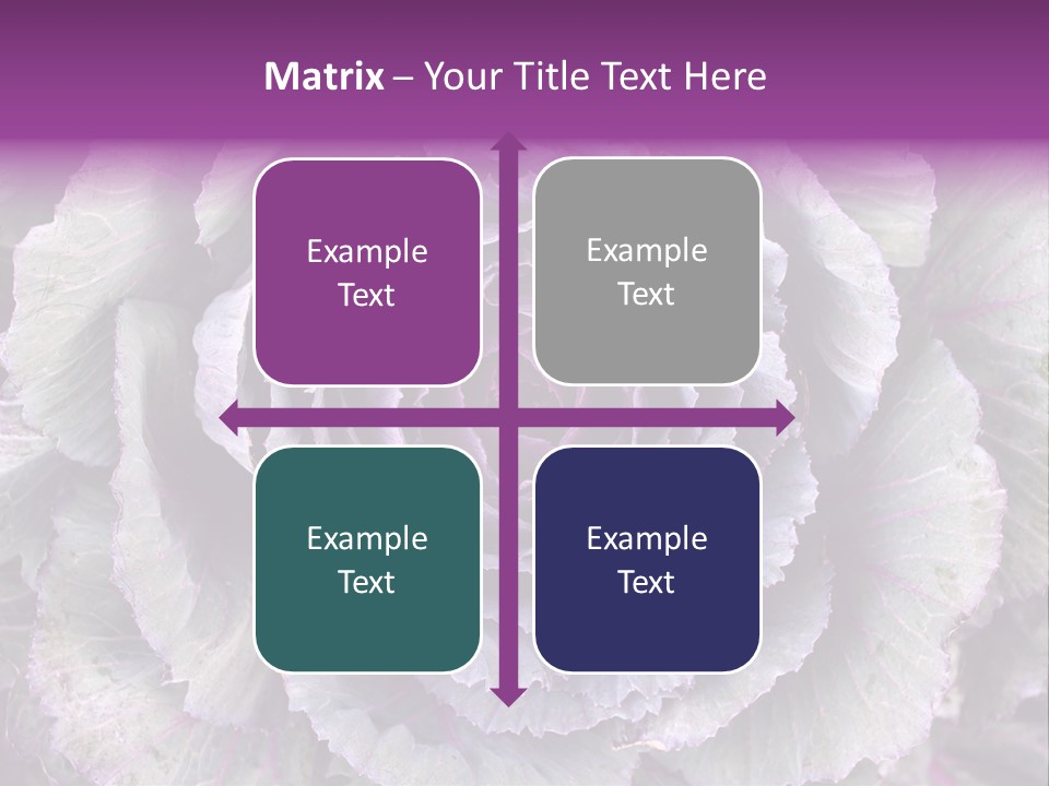 Ornamental Cabbage White PowerPoint Template