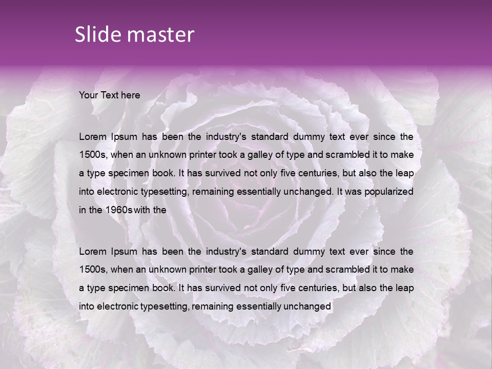 Ornamental Cabbage White PowerPoint Template