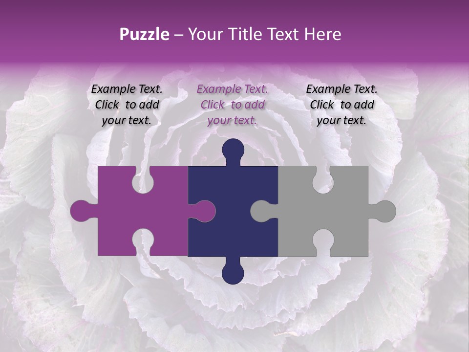 Ornamental Cabbage White PowerPoint Template