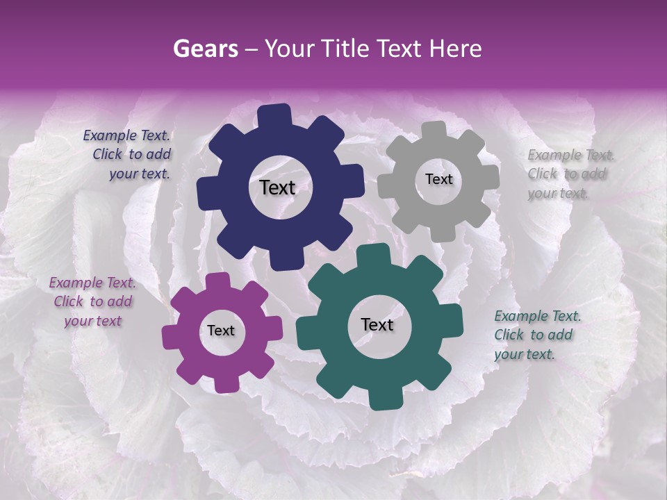 Ornamental Cabbage White PowerPoint Template