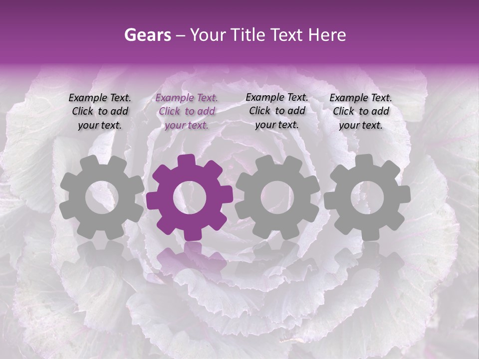 Ornamental Cabbage White PowerPoint Template