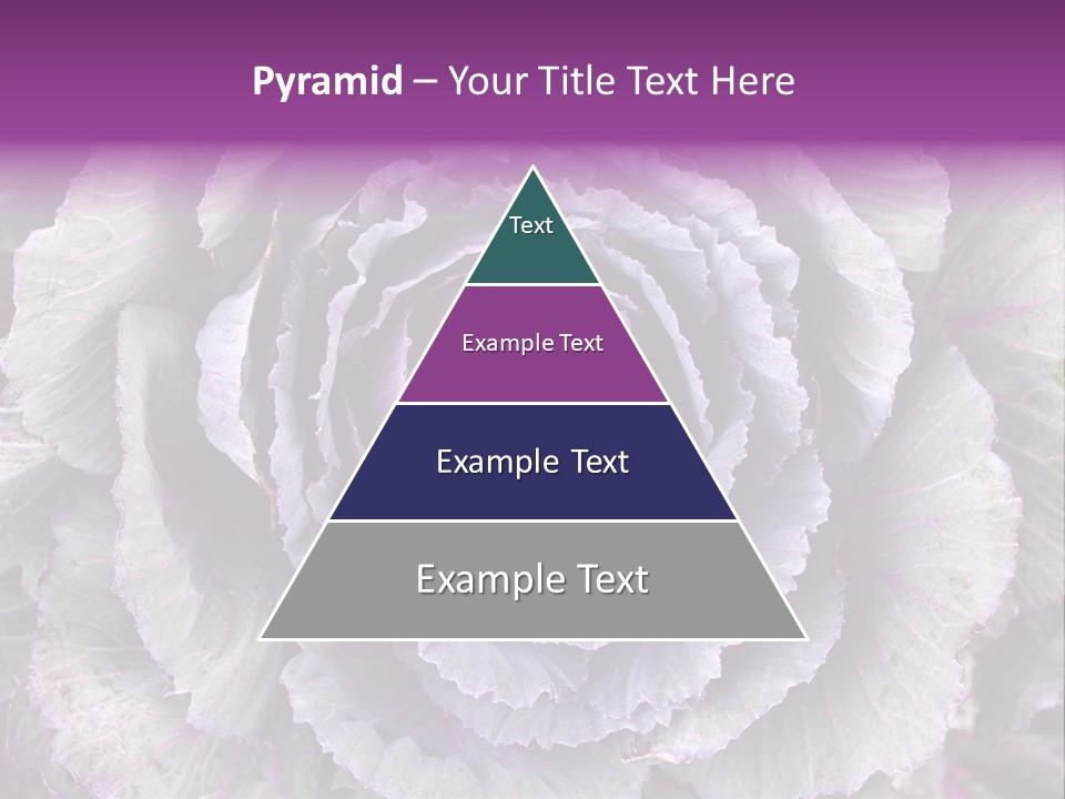 Ornamental Cabbage White PowerPoint Template