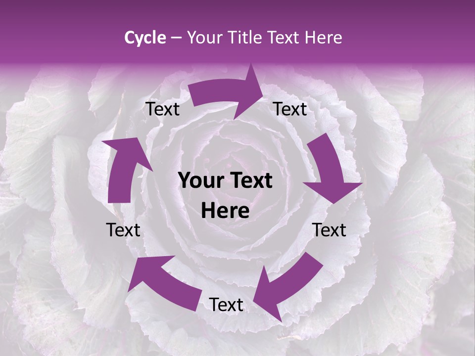 Ornamental Cabbage White PowerPoint Template